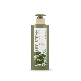 bbcos Meristema Silk System Cream шовковий крем для волосся на основі стовбурових клітин 500 мл bbcos Meristema Silk System Cream шовковий крем для волосся на основі стовбурових клітин 500 мл